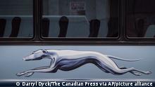 The Greyhound logo is seen on one of the company's buses, in Vancouver, on Monday July 9, 2018. Greyhound Canada says it is ending its passenger bus and freight services in Alberta, Saskatchewan and Manitoba, and cancelling all but one route in B.C., a U.S.-run service between Vancouver and Seattle. As a result, when the changes take effect at the end of October, Ontario and Quebec will be the only regions where the familiar running-dog logo continues to grace Canadian highways. (Darryl Dyck/The Canadian Press via AP)
