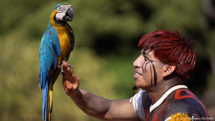 Um papagaio na mão de um indígena 