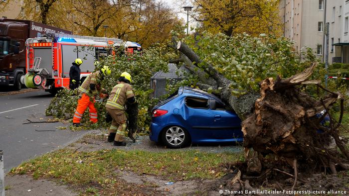 Firefighters cut a tree that is lying atop a crushed car