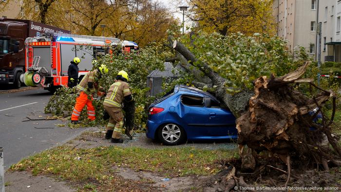 Les pompiers coupent un arbre au sommet d'une voiture écrasée