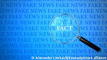 Between the Fake News in search of facts. 3d illustration.