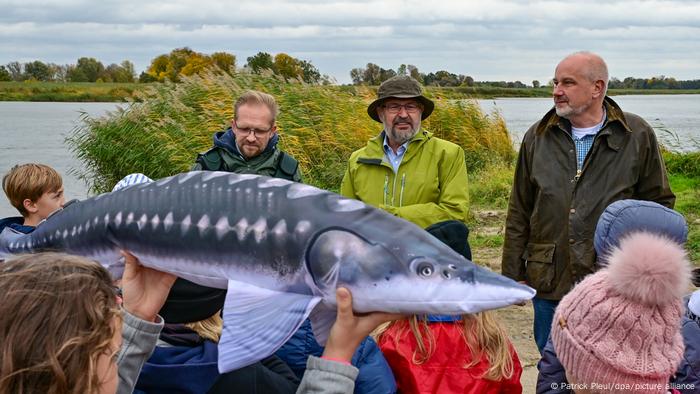 Schoolchildren are shown a dummy of an adult sturgeon