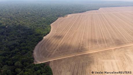 The boundary between the Xingu National Park and farmed land which surrounds the reserve is seen at the Xingu Indigenous Park in Brazil