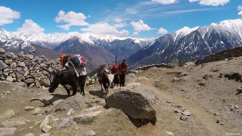 Nepal - Snowland Children | Highlights | DW - Vimarsana News