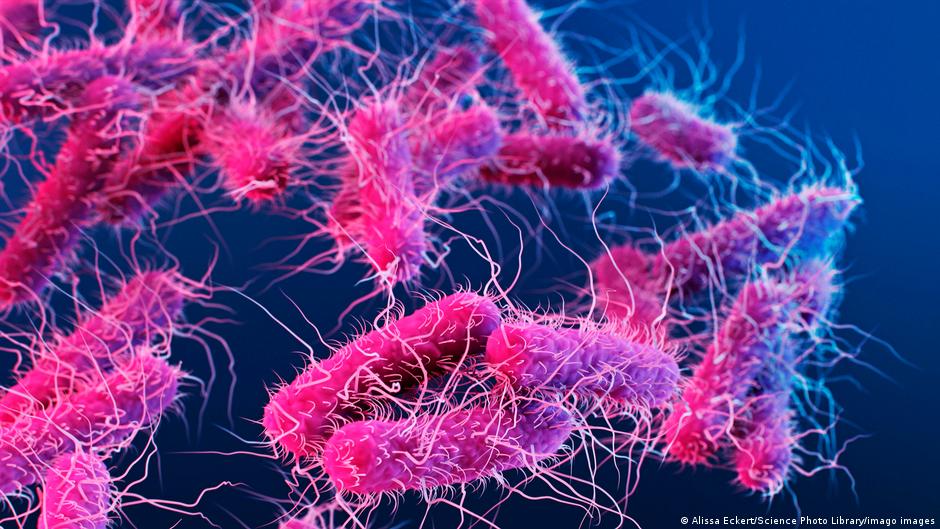 Donovanosis: ′Flesh-eating′ STI has doctors worried | Europe | News and current affairs from around the continent | DW - Vimarsana News