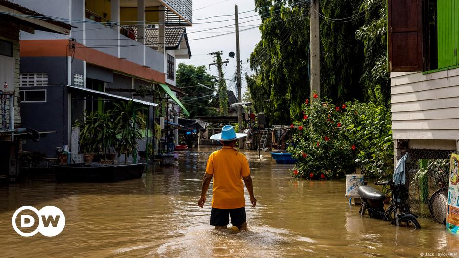 Are Southeast Asian nations meeting their climate commitments?