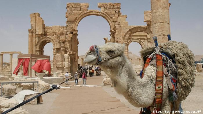 След 10 години гражданска война в Сирия някои туроператори вече