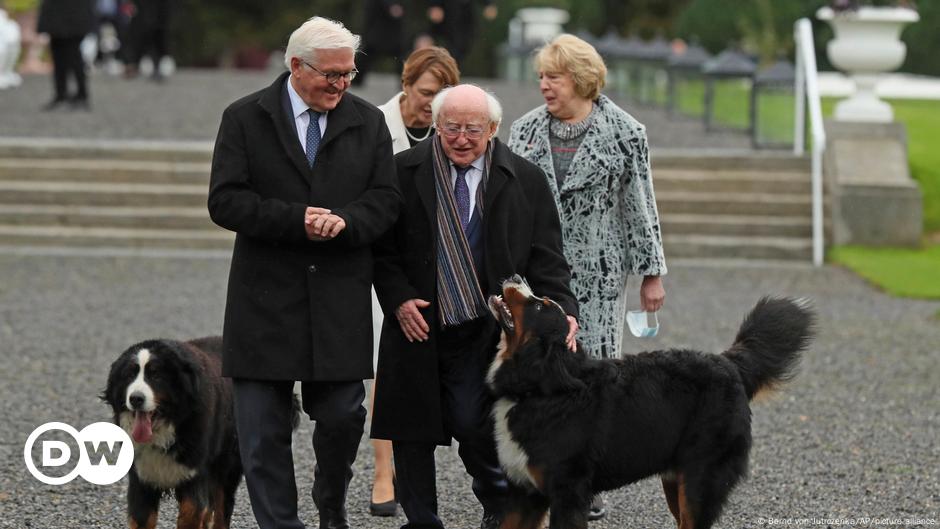 Steinmeier bekräftigt deutschen Beistand für Irland