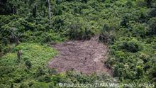 03.03.2021
March 3, 2021, Sao Paulo, Sao Paulo, Brazil: Illegal deforestation in the Amazon rainforest in the upper Rio Negro, in the state of Amazonas, on the border between Brazil and Colombia, the northwest of the country. Sao Paulo Brazil - ZUMAl146 20210303_zaf_l146_165 Copyright: xPauloxLopesx 