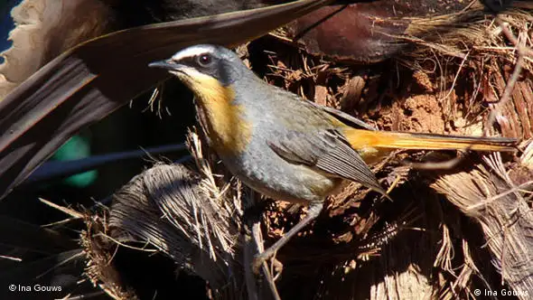 Der Blick aus meinem Fenter: Südafrika