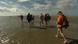Menschen gehen durch das Wattenmeer (Foto: DW-TV) Menschen gehen durch das Wattenmeer (Foto: DW-TV)