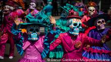 La flor de cempasúchil, símbolo del Día de Muertos en México | Todos los  contenidos | DW 