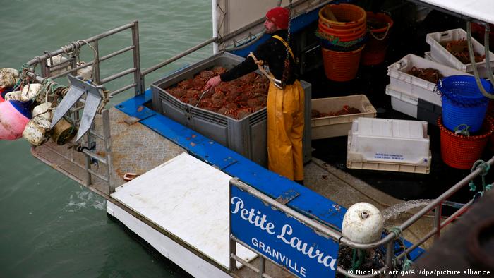 Francuski ribar sa ulovom jakobovih kapica