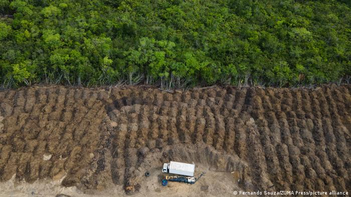 "O planeta não vai deixar de aquecer se o desmatamento ocorrer legalmente"