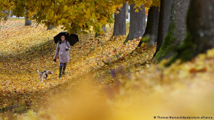 Осень В Европе Фото