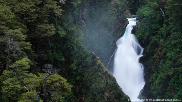 Catarata na floresta valdiviana na Argentina 