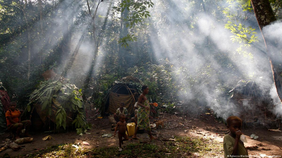 Tree census: How is India counting its trees? 4 Indigenous people in a forest.