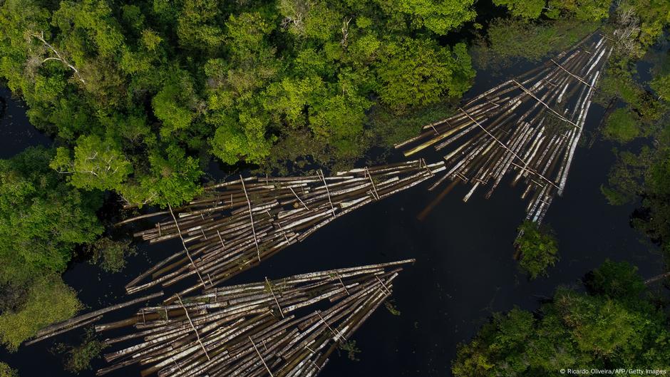 Amazon countries determined to preserve their forests – DW – 07/09/2023