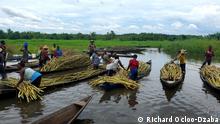 Ghana turns sugarcane farming waste into organic fertilizer