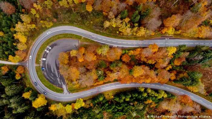Šuma u Taunusu u blizini Frankfurta okitila se jesenjim bojama. Kao da pozdravlja odluku više od 100 zemalja na konferenciji o klimi u Glazgovu koje su se dogovorile da će smanjiti krčenje šuma. To je, smatraju naučnici, jedan od glavnih pokretača klimatskih promena.
