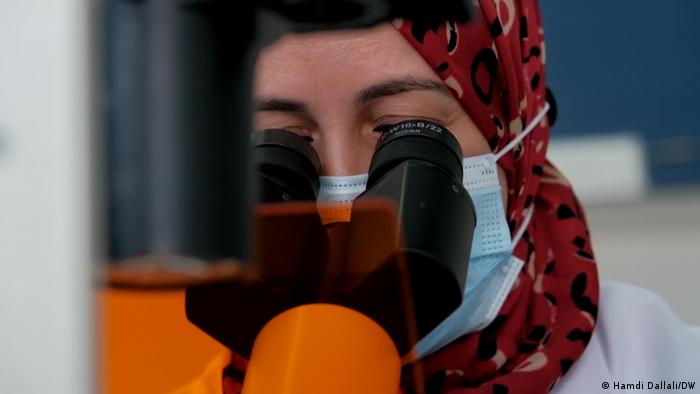 A researcher in Tunisia looking into a microscope