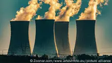 核能增倍才能实现净零排放？环保组织：危险性不能小觑