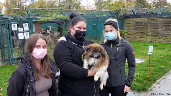 Julia Zerwas et deux assistants au refuge pour animaux de Bonn