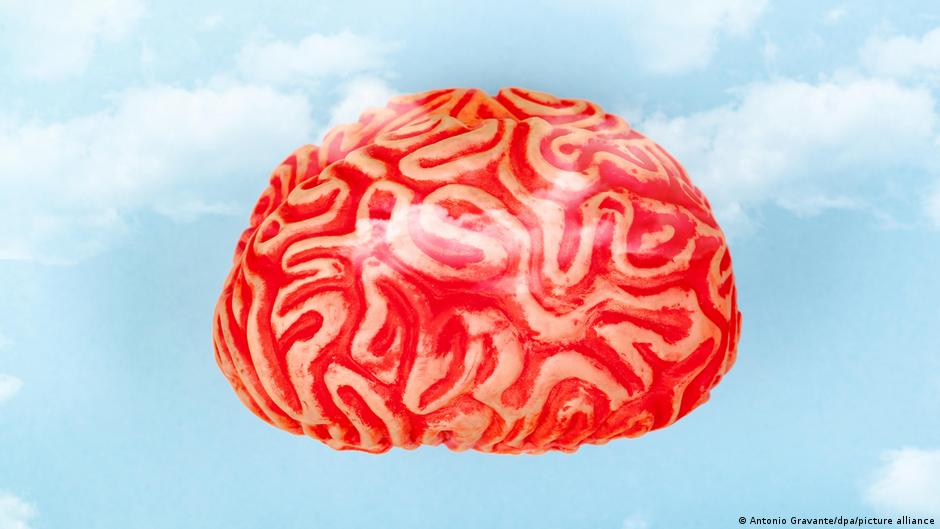 Unraveling the brain′s mysteries in art and science | All media content | DW - Vimarsana News