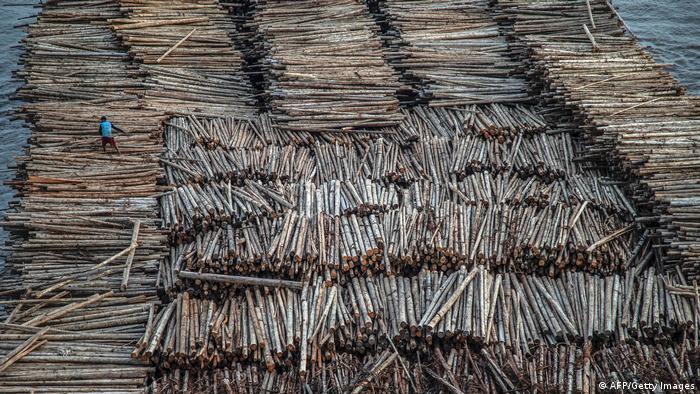 Ogromni splav od trupaca drveta lagano se spušta niz Mahakam, drugu po veličini reku u Indoneziji. Trenutno je kod grada Samarinda u provinciji Istočni Kalimantan na Borneu, a drvo će završiti na preradi u pogonima u Japanu, ali i u Evropi. Splavari za sada nisu čuli da je na konferenciji o klimi u Glazgovu dogovoreno da se krčenje šuma smanji.