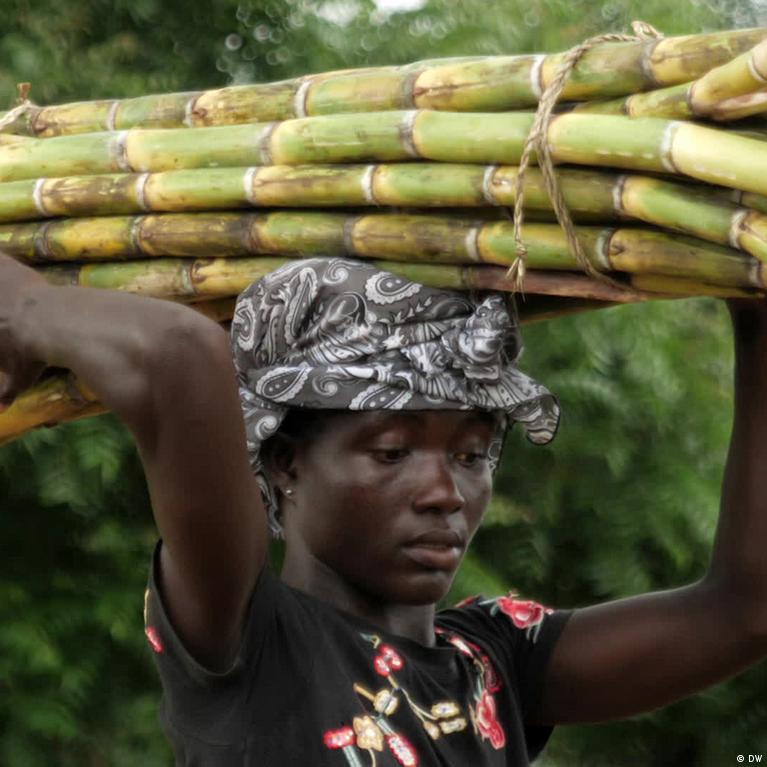 Nachhaltiges Zuckerrohr in Ghana