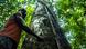 A man cuts a vine with a machete