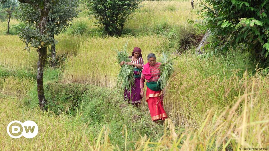 Nepal: Kampf der Korruption in der Klimafinanzierung