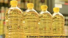 Several sunflower oil bottels are seen in a shop in Madrid, central Spain, 25 April 2008. Spanish Health ministry has recomended not to use this product after detecting a contamination with minerals oil from Ukraine on it. This minerals oil came from Ukraine last February. Acording to the Spanish authorities the contaminated sunflowers oil is not harmful to humans. EPA/GUSTAVO CUEVAS +++(c) dpa - Report+++