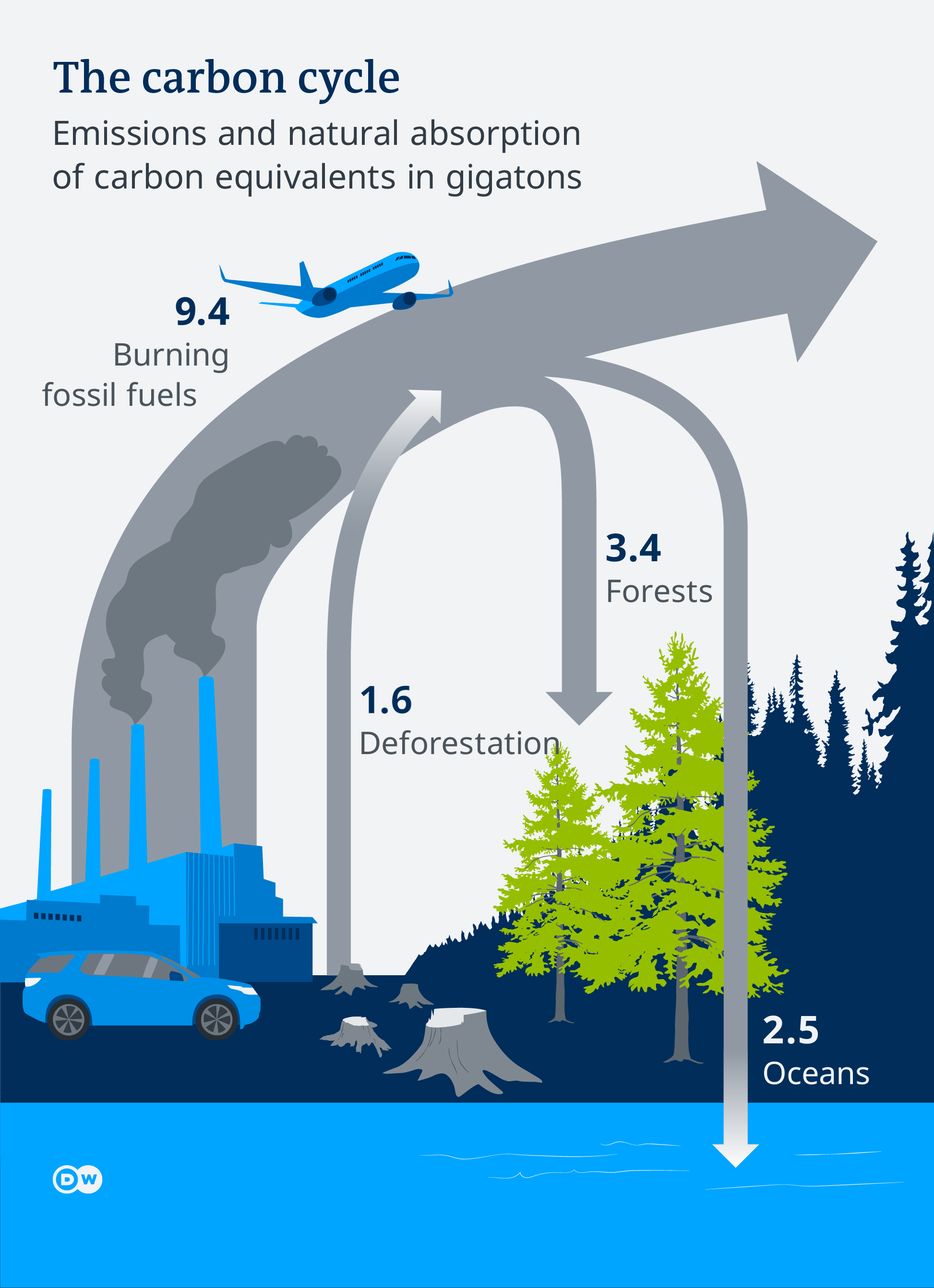 where does carbon cycle come from