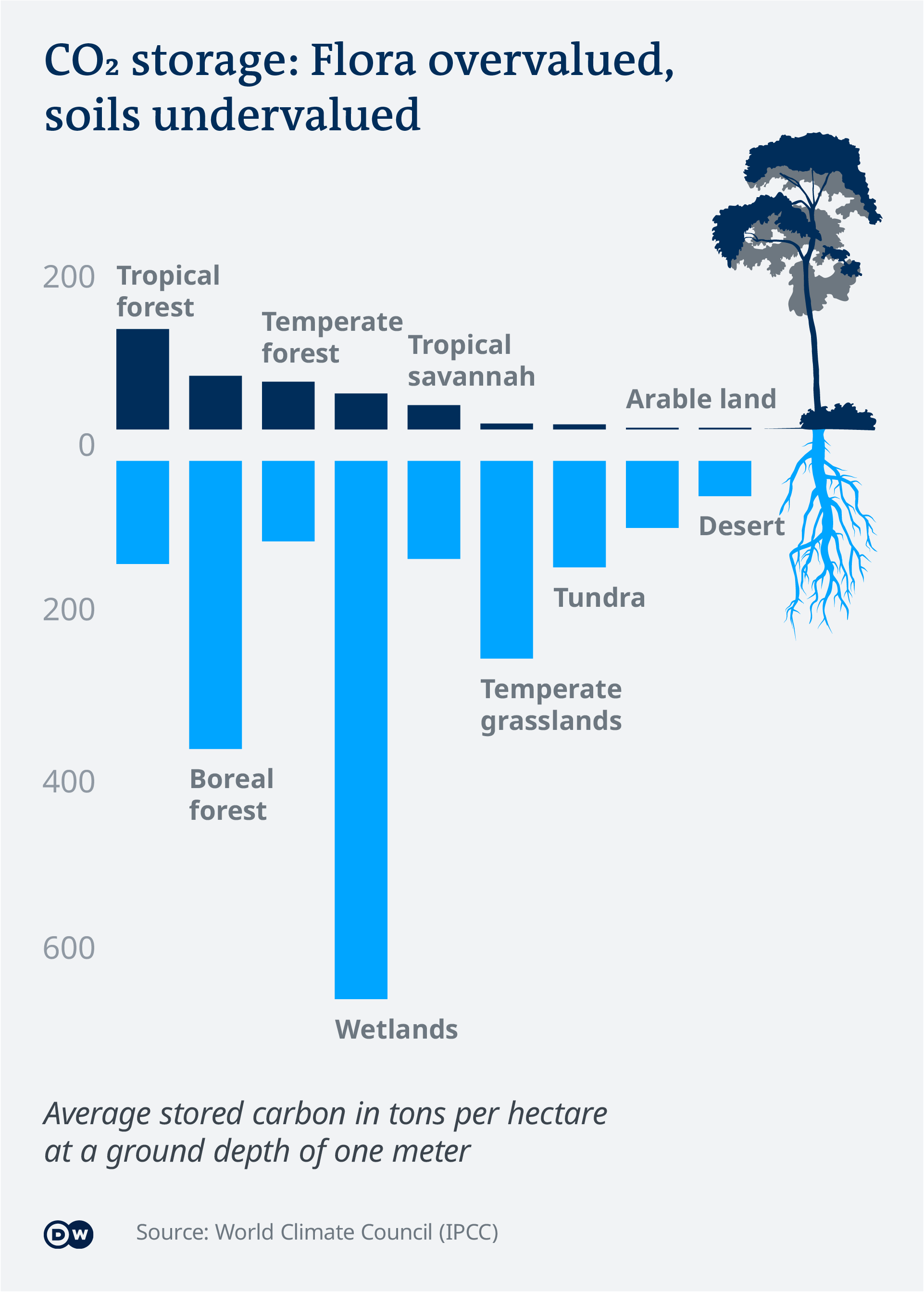 How nature helps fight climate change – DW – 11/25/2021