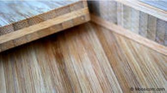 Sperrholz aus Bambus (Foto: Moosicorn.com)