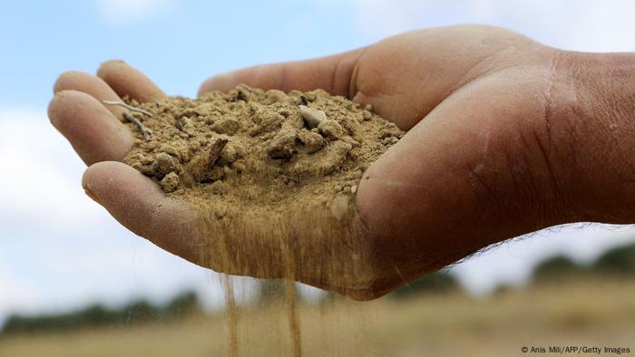 A farmer holds a handful of soil parched because of a drought