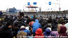 Литва: Часть мигрантов на границе Беларуси прибывают из России