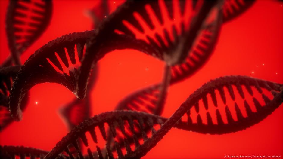 Ancestral research using DNA – DW – 02/18/2022