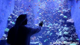 Ενυδρείο, Αμπού Ντάμπι