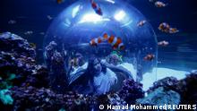 A visitor interacts with fish at the newly opened The National Aquarium Abu Dhabi, the largest aquarium in the Middle East and home to around 46,000 aquatic animals, in Abu Dhabi, United Arab Emirates, November 12, 2021. Picture taken November 12, 2021. REUTERS/Hamad I Mohammed