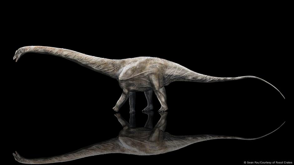 Estudio demuestra que este dinosaurio pudo ser el más largo que haya existido | Ciencia y Ecología | DW Estudio demuestra que este dinosaurio pudo ser el más largo que haya existido | Ciencia y Ecología | DW