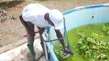 Vender peixes e algas orgânicas no Gana