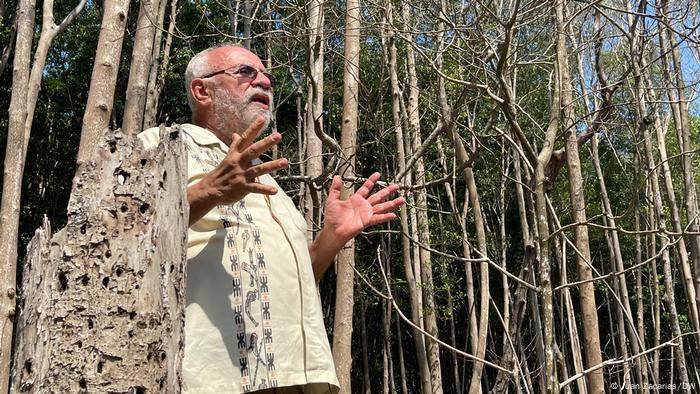 Ricardo Navarro, presidente de la ONG CESTA, junto a un mangle muerto en El Salvador.