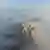 贵州毕节大雾天气资料图片（摄于2021年末）
