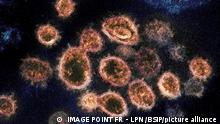 Коронавірус з Південної Африки: чим небезпечна нова мутація