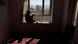 A woman sits on a window sill reading a book at her home in Kabul, Afghanistan. A woman sits on a window sill reading a book at her home in Kabul, Afghanistan.