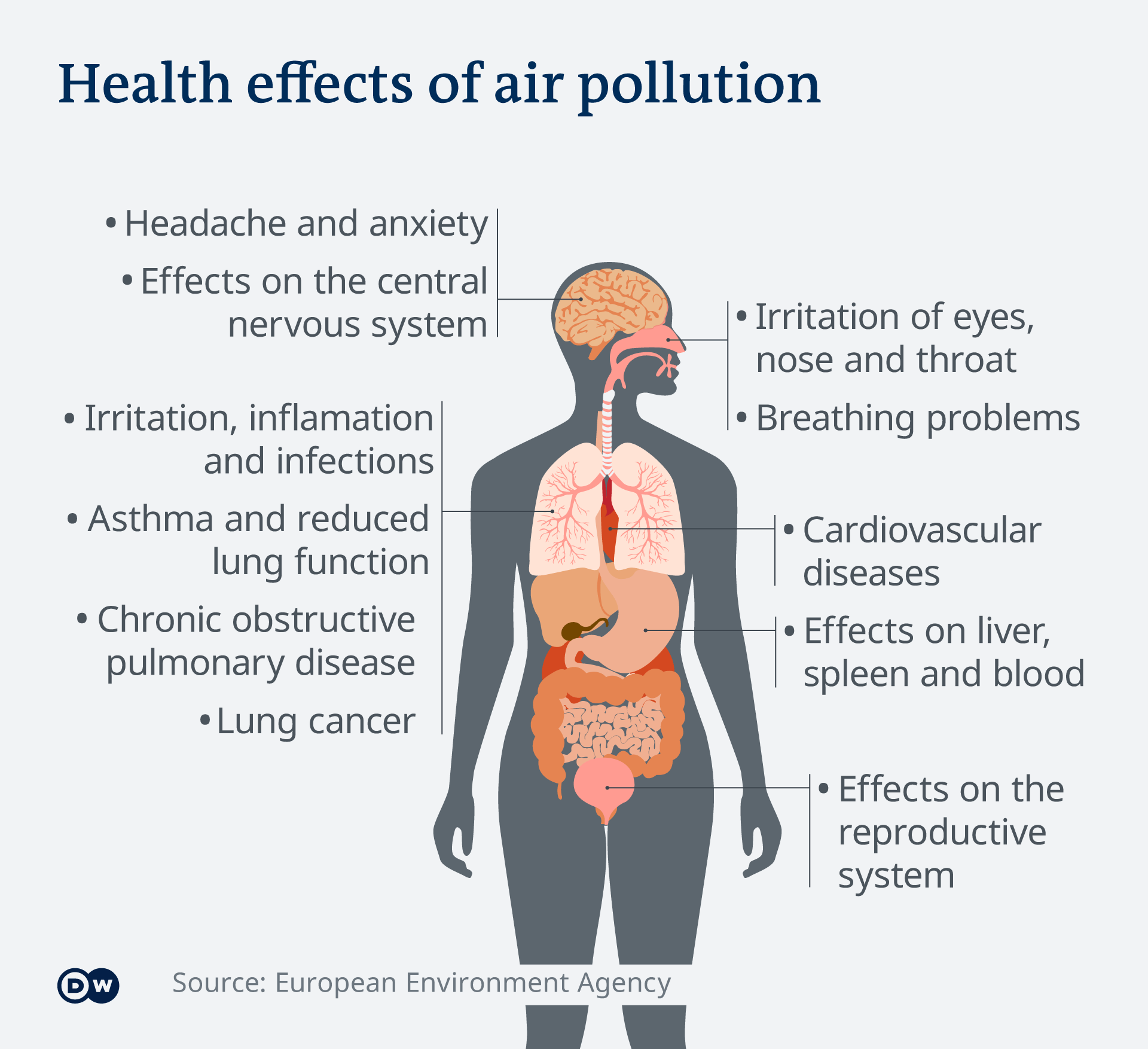 Graphic showing the health effects of air pollution on humans