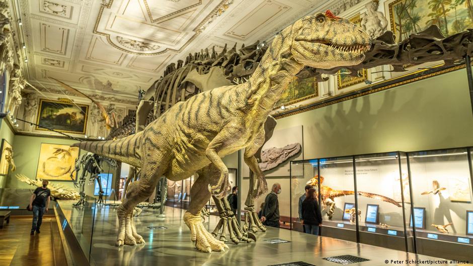 Scientists find Tyrannosaurus had two more species other than ′rex′ | News | DW - Vimarsana News