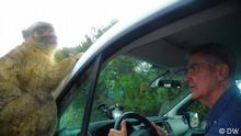 Taxi in Gibraltar: Perfekter Begleiter an einem sonderbaren Ort